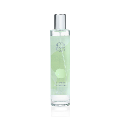 高評価！ グリーンリーブス ＜ Yuzu Leaves Green ユズ 爽やかな ＞/ ボディミスト